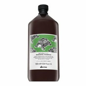 Davines Natural Tech Renewing Shampoo ucvršcujuci šampon za sve tipove kose 1000 ml