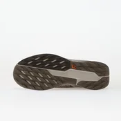 Nike W PEGASUS TRAIL 5 GTX, ženske patike za trail trcanje, smeda FQ0912