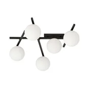 Plafonsko svetlo SMART 5xE14/10W/230V crno/belo