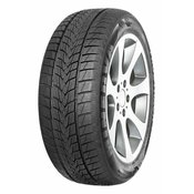 zimska pnevmatika Minerva 175/80 R14 99R Frostrack VAN