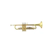 Trobenta Bach Bb TR-450 706.005