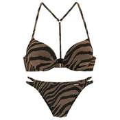 Bruno Banani Bikini  rjava / črna