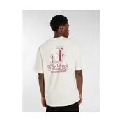 Dickies Fairlawn T-Shirt egret