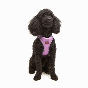Paws & Whiskers Am za pse Air-Mesh, Lavanda