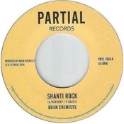 The Bush Chemists - Shanti Rock (LP)