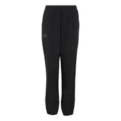 ADIDAS TERREX Outdoor hlače Clima365 Multi črna
