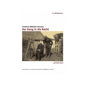 Der Gang in die Nacht