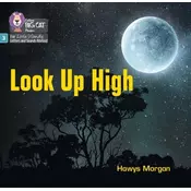 Look Up High