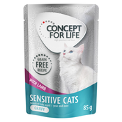 Concept for Life Sensitive Cats jagnjetina v omaki brez žitaric - 48 x 85 g