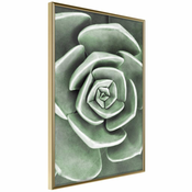 Poster - Robust Plant 20x30