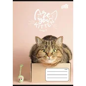 Cool by Victoria: Cats Forever črtast zvezek A5 – različni motivi