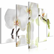 Slika - Wonderful Orchid (5 Parts) Wide 200x100