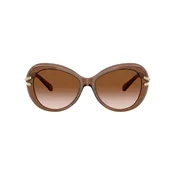 Swarovski Naocare za sunce SK 6026 106713
