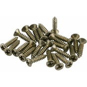 Fender Road Worn Pickguard/Control Plate Screws 24 pcs