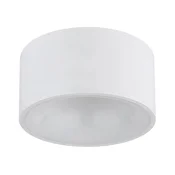 Globo 56964W - LED stropno svetlo RAYMOND LED/12W/230V 3000K precnik 15 cm bela