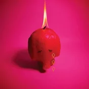 Arcade Fire - Pink Elephant (Digipak) (CD)