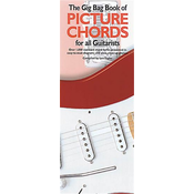 GIG BAG SERIES FOR GUITARISTS PICTURE CHORDS