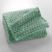 Svetlo zelena odeja iz mikroflanele 125x150 cm Mini Frosty – douceur dintérieur