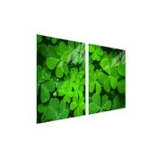 shumee Steklena zaščitna plošča za štedilnik 2x45x52 Leaf