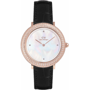 Ura Daniel Wellington ženska, zlata barva, DW00100827