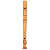 Sopranino kljunasta flavta YRN-801 Yamaha