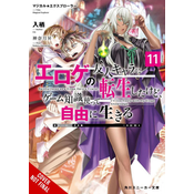 Magical Explorer, Vol. 11 (Light Novel)