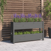 vidaXL Visoka greda siva 112x25x66 cm trdna borovina