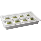 Pujadas Classic melaminska gastronorm posoda GN 1/1, v=65 mm