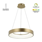 LED visilica F2049-66V SGA