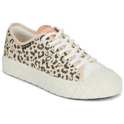 Palladium PALLA ACE LO WILD Bež