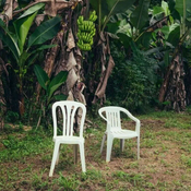 Bad Bunny - Debí Tirar Más Fotos (White Coloured) (2 LP)