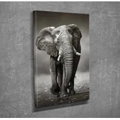 Wallity Slika na platnu 30x40cm