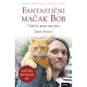 Fantastieni maeak Bob