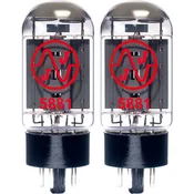 JJ Electronic 5881 Duet Elektronka
