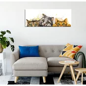 Wallity Slika na platnu 30x80cm