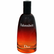 Christian Dior Fahrenheit Eau de toilette - Tester, 100 ml