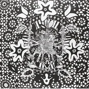 Residual Echoes - The Middle Path (LP)