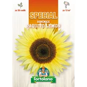 SONČNICE PAQUITO LEMON