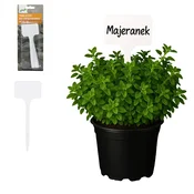 Garden Line SET 8 PLASTNIH OBESEK ZA OZNACITE RASTLINE