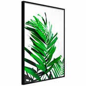 Poster - Emerald Palm 20x30
