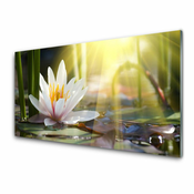 tulup.si Slika na steklu Sun water lily pond 140x70 cm 2 obešalnika