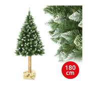 Božicno drvce na deblu 180 cm bor