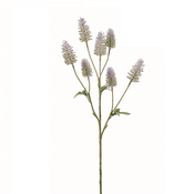 Veja Trifolium vijolična 55 cm - vijolična - 50 do 75 cm