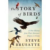 The Story of Birds
