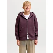 Jack & Jones Junior Jopa na zadrgo Legacy bordo