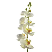 Mondex umetna orhideja plastika Mondex Viridis 85cm bela 1kos, (5000329488)