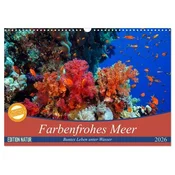 Farbenfrohes Meer (Wandkalender 2026 DIN A3 quer), CALVENDO Monatskalender