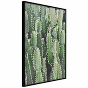 Poster - Cactus Plantation 20x30