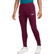 Nike Hlače Dri-FIT ADV Paris Saint-Germaine Strike Elite