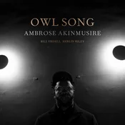 WARNER AKINMUSIRE A.- LP/OWL SONG, (20997030)